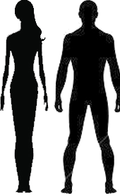 （一）書法的三個階段“人，妖，仙”