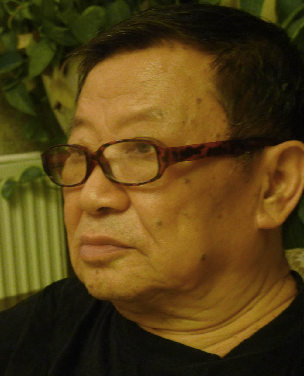 徐鼎大師書法定制